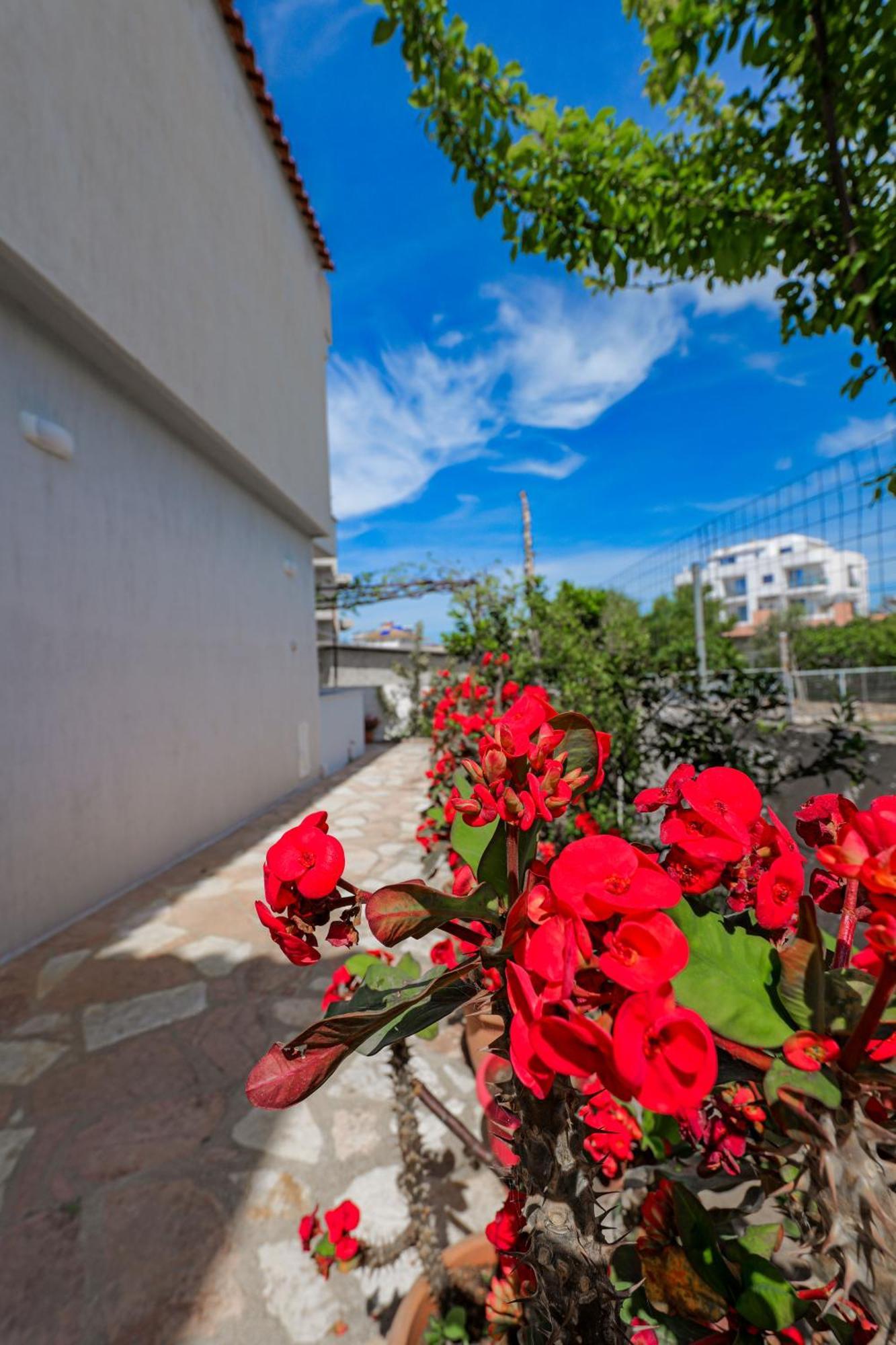 Guesthouse Moonlight Downtown Ксамил Экстерьер фото